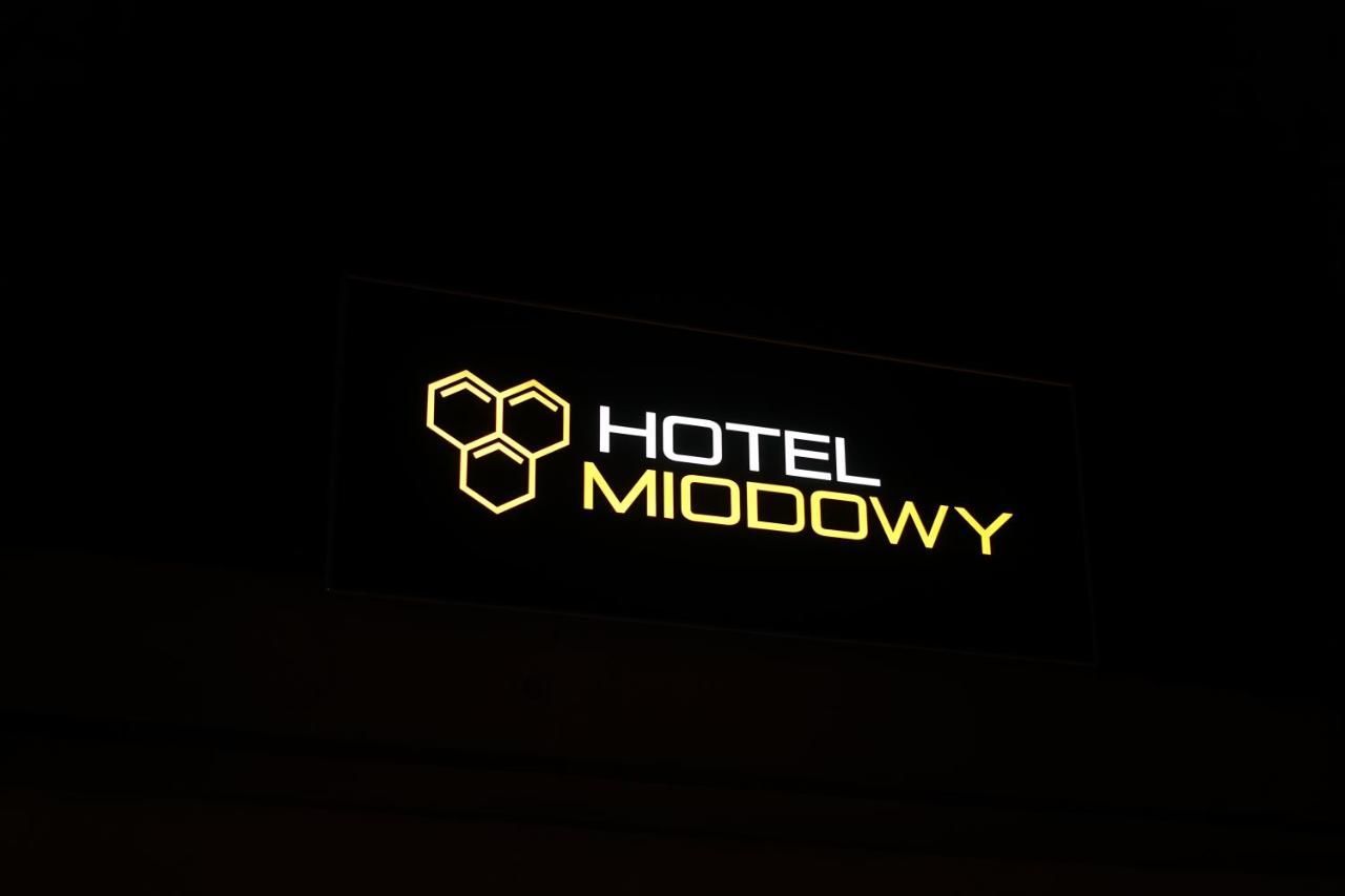 Отель Hotel Miodowy Дзержонюв-24